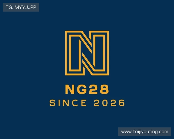 认识NG28